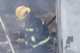 山东德州 一民房意外着火，消防员在火场里救出一只吓得瑟瑟发抖的小奶猫图片