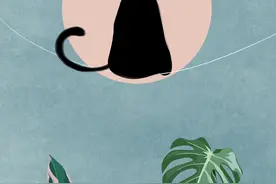 要想有情人终成眷属，记住两个关键词图片