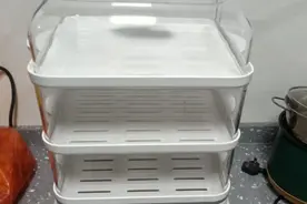 电蒸锅，买不锈钢的还是透明的？两个我都用过，讲讲使用体验图片
