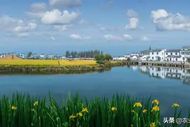 2022年江苏实际种粮农民一次性补贴政策：补贴多少？附发放时间图片