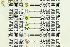 终于有人把“十二生肖夫妻配对表”，整理好了，涨知识，快来收藏图片