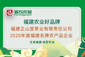 福建农业好品牌 春茶品鉴正此时 金骏眉香邀你品图片