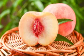 壹邦小知识：桃子核里面的透明胶是什么 桃子核裂开了还能吃吗图片