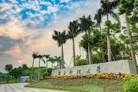聊聊综合评价招生，流程如何？跟强基有何不同？哪些学校可关注？图片