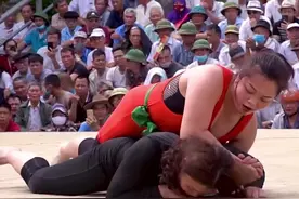 实测同一作品发送4个不同平台，测试结果如下图片