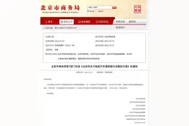 最高补贴1万元！在北京置换新能源车需注意——图片