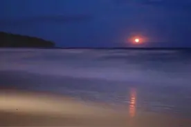 适合互删时发的最后一句话文案图片