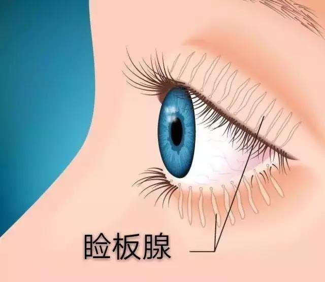 眼皮上长小疙瘩要注意什么？