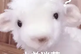 危急！襄阳七旬老人被困孤岛！6小时后……图片