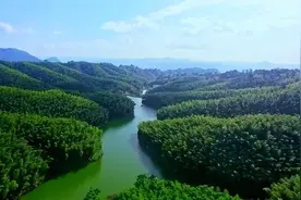 「生态贵州」喝贵州好水 享健康生活图片