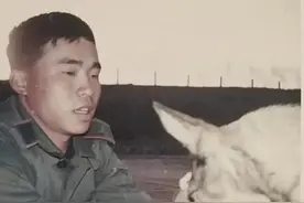 那年桃花开图片