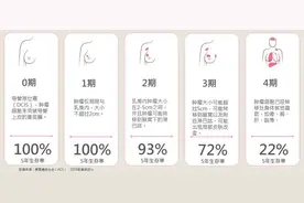 乳腺癌病理报告到底该如何看？教你读懂乳腺癌病理报告单图片