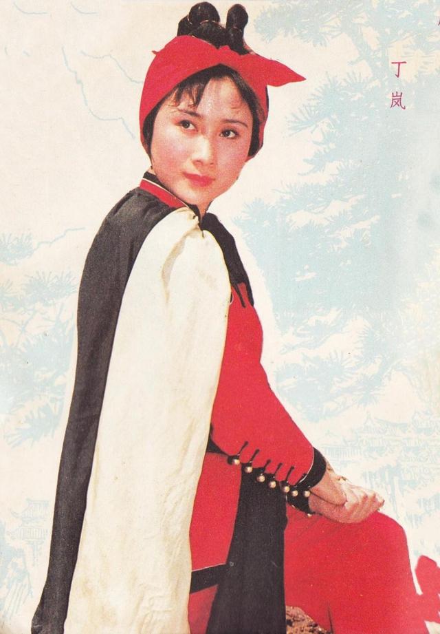 丁岚：曾火遍全国移居国外，回国经商成亿万富婆，58岁仍孤身一人