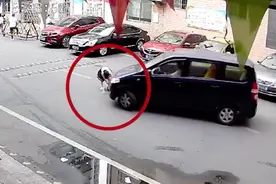 女孩蹲马路中间翻书包被卷入车底，路人纷纷大叫提醒司机，交警回应：女孩情况稳定，案件还在调查图片