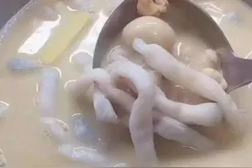 海边沙滩里的美食——沙虫和泥丁图片