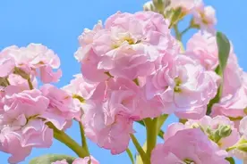 女人有“情人”了，往往能从以下三个细节看出，记住了图片