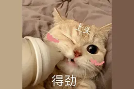 8家拼多多神仙店铺！小众便宜巨宝藏，十几块买到爽！（无广）图片