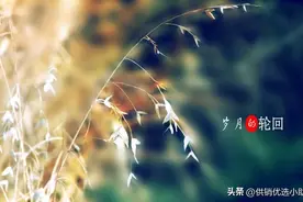从此以后，彼此温柔图片