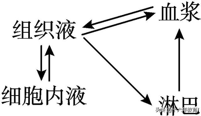 高中生物三年必背知识最全汇总（建议打印）