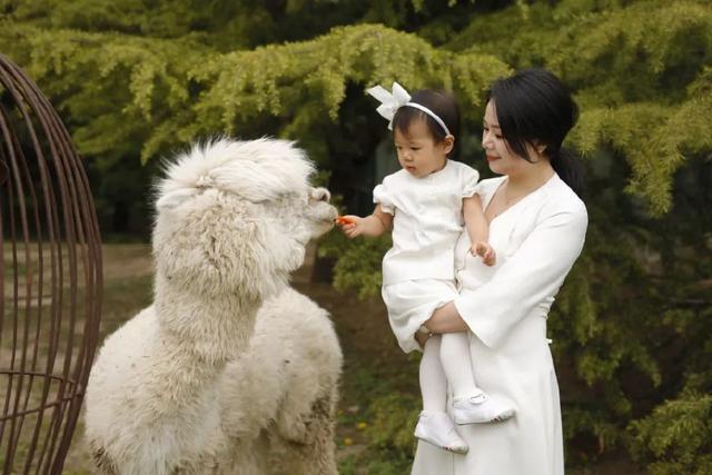 新生儿面霜和身体乳都要买吗