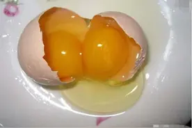 为什么人们迷信双黄蛋？图片