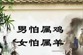 农村俗语“男怕属鸡，女怕属羊”，这是什么道理？你相信吗图片
