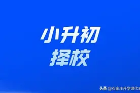 2022小升初中等偏上生源，在新世纪、精英、创新国际里作何选择？图片