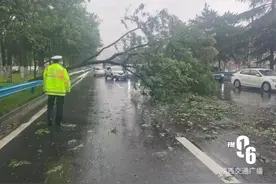 注意避让！西安一行道树倾倒！这些路段因降雨管制→图片