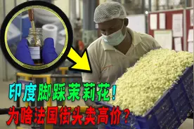 茉莉花印度的遭遇：花苞被摘下扔地上被人踩，为啥还能创收？图片