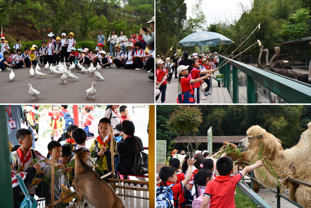 四川省民生研究会新媒体中心-官网