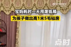 宝妈用废纸箱为孩子做1米5毛毡房，妈妈：孩子可以在里面玩耍图片