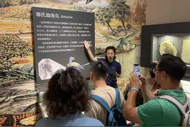 看古塔，赏化石……“三燕故里”有奇珍！图片