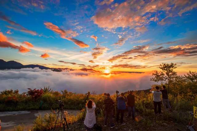 四川省民生研究会新媒体中心-官网
