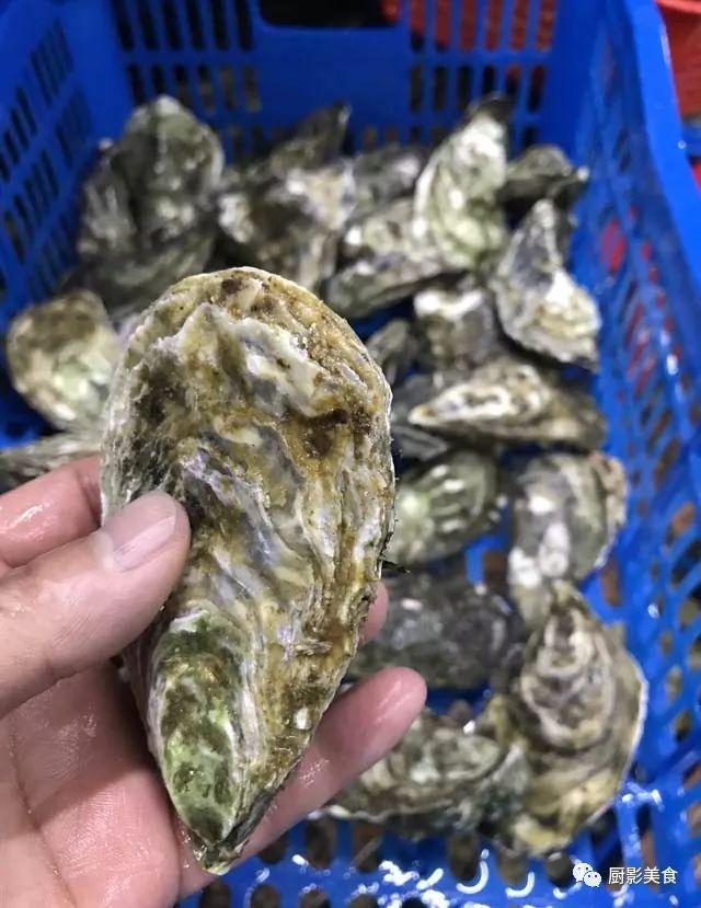 花胶选几级的 花胶等级顺序鱼胶排名大全