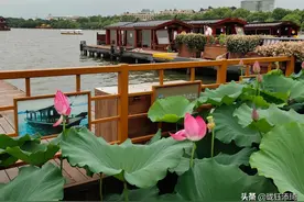 杭州西湖日为什么是6月24号呢？杭州西湖日游西湖看美景如诗如画图片