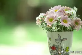 总喜欢唱反调，觉得自己才对，这样的人是什么心理？图片