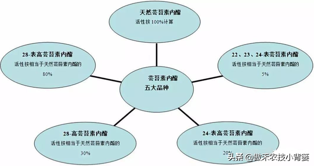 如何正确认识、正确挑选与正确使用芸苔素内酯？注意这几点