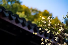 人到中年，遇到以下几种情况，该装就装，这才是真聪明图片