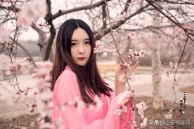 这个世界，我来过图片