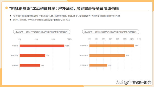 2022�ꡰ�����塱�������Ʊ��棨���ֻ�ʱ���µ��г�Ǳ����