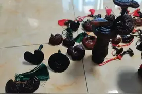 灵芝仙草：草药中的仙品，寓意吉祥如意图片