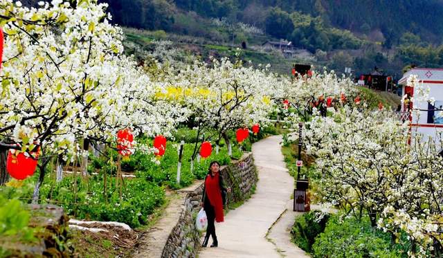 四川省民生研究会新媒体中心-官网