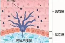 90%女生都会遇到的祛斑美白问题，千万别忽略了图片