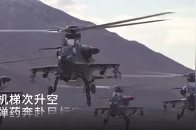 印度构建“山地版马奇诺防线”！在武直-10面前，就是豆腐渣工程图片