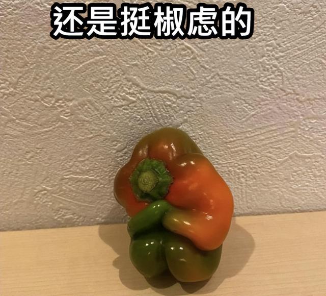 当年搞出天语手机的“山寨机教母”，靠做芯片翻盘上市了