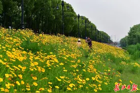 今日2时19分，立夏。并意味着夏天来了图片