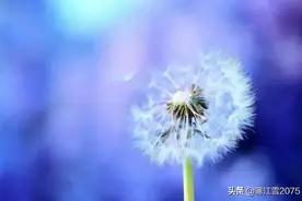 看得见的乡愁图片