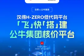 汉得 x 公牛集团｜H-ZERO低代码平台「飞」快「搭」建集团核价平台图片
