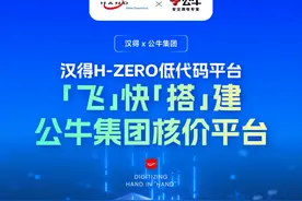 汉得 x 公牛集团｜H-ZERO低代码平台「飞」快「搭」建集团核价平台图片