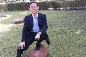 酢浆草（短篇小说）图片